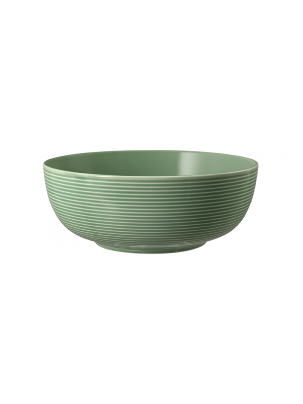 SELTMANN WEIDEN Foodbowl 20 cm Beat Color Glaze