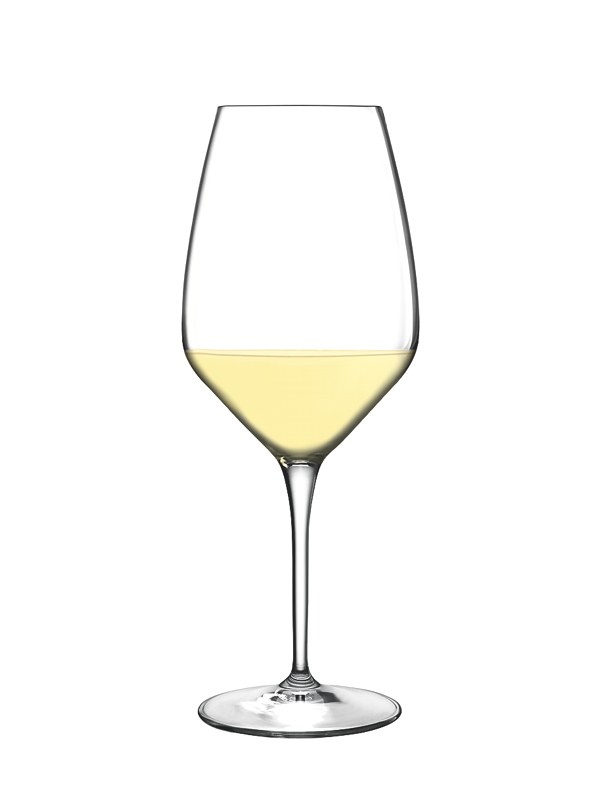 LUIGI BORMIOLI Sauvignon Atelier - 6 Stück im Geschenkkarton