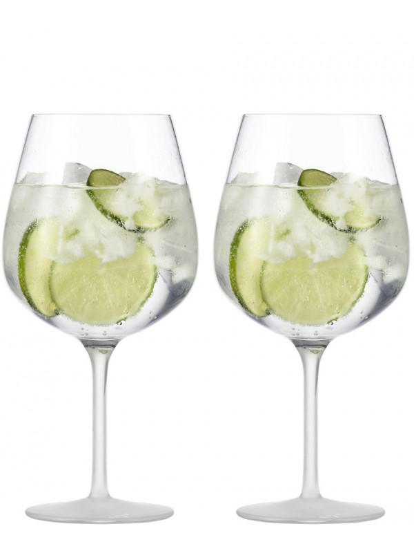 EISCH Gin Tonic Glas Secco Flavoured seidenmatt - 2 Stück im Geschenkkarton