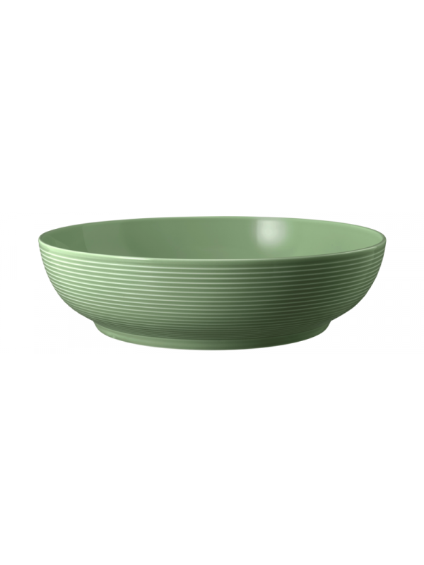 SELTMANN WEIDEN Foodbowl 25 cm Beat Color Glaze