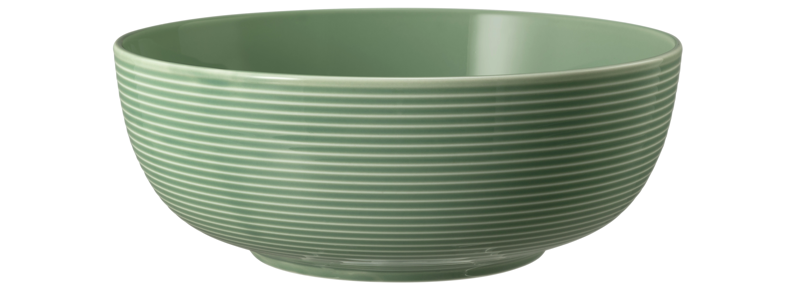 SELTMANN WEIDEN Foodbowl 20 cm Beat Color Glaze