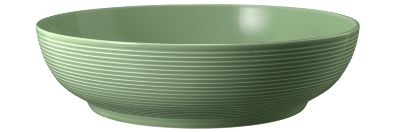 SELTMANN WEIDEN Foodbowl 25 cm Beat Color Glaze